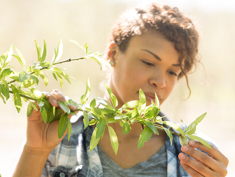 Woman examining plant life